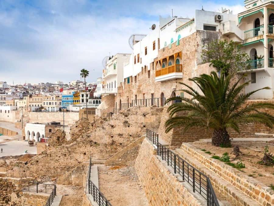 From Costa del Sol: Discover Tangier on a Guided Day Trip - Who should book this Tangier day trip, and who should skip