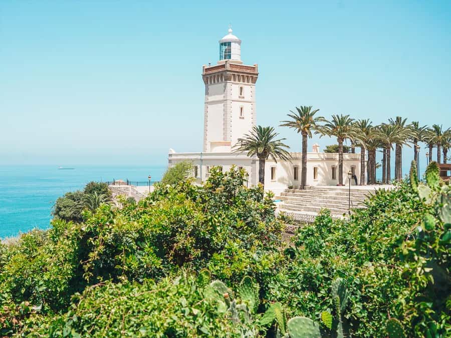 From Costa del Sol: Discover Tangier on a Guided Day Trip - Ancient Medina and Kasbah walking: where the guide earns their fee