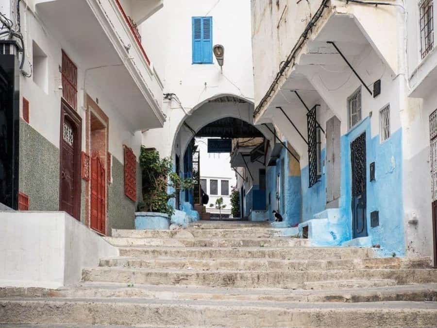 From Costa del Sol: Discover Tangier on a Guided Day Trip - Lunch at a typical Moroccan restaurant, and the drinks reality