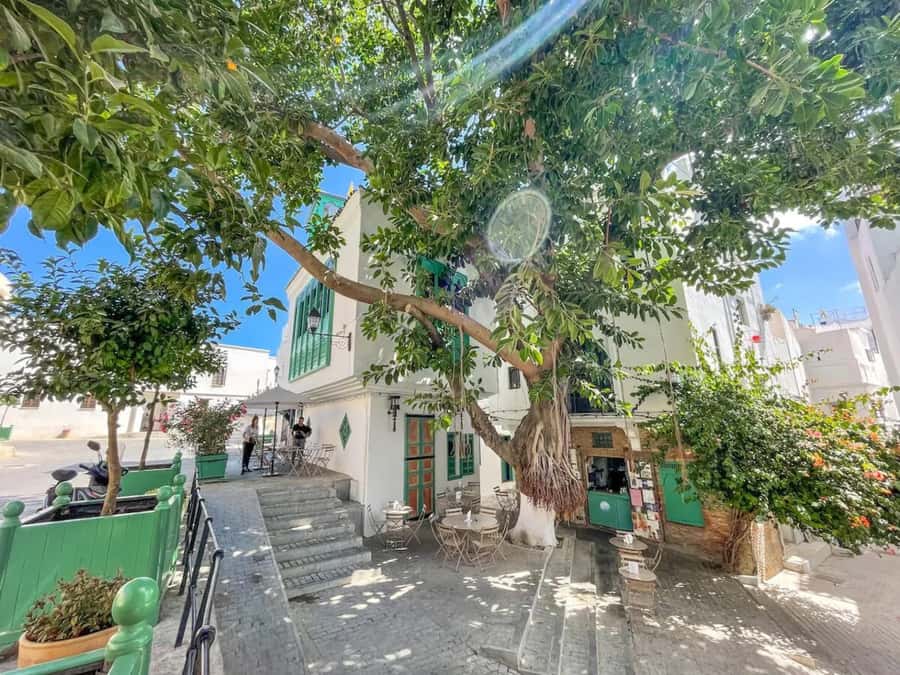 From Costa del Sol: Discover Tangier on a Guided Day Trip - Price and value: paying for a whole-day machine