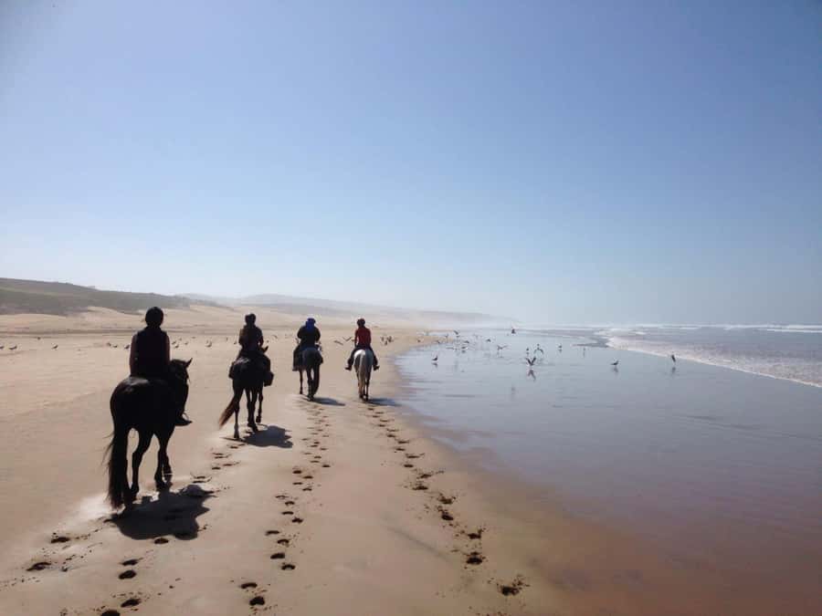 From Essaouira: 1-Hour Horse Ride - Key things you’ll notice right away