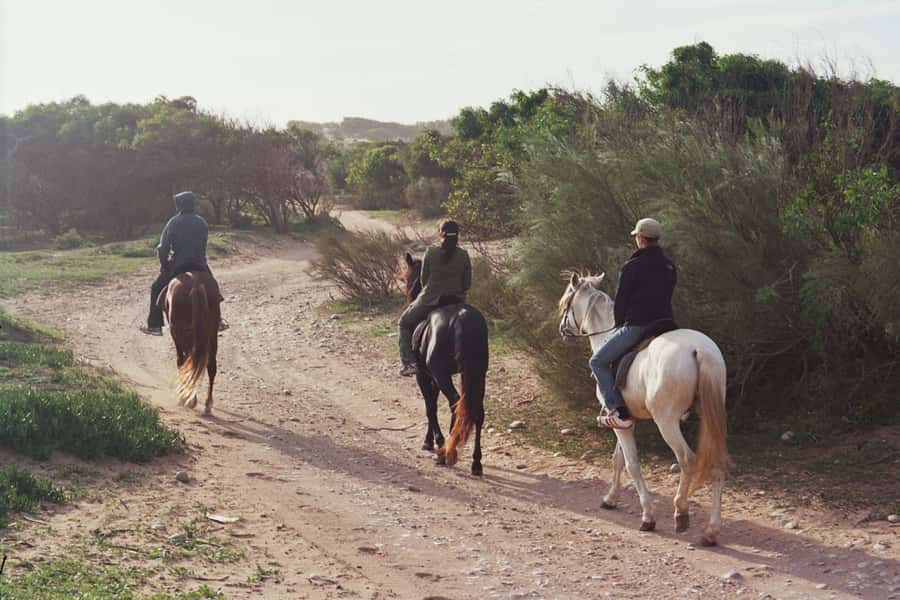 From Essaouira: 1-Hour Horse Ride - Why riding in Essaouira beats a standard beach stroll