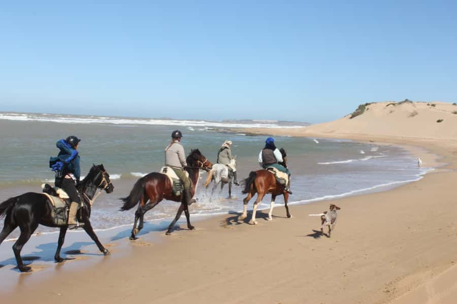 From Essaouira: 1-Hour Horse Ride - The 1-hour route: river ruins, dunes, and the Mogador Island look