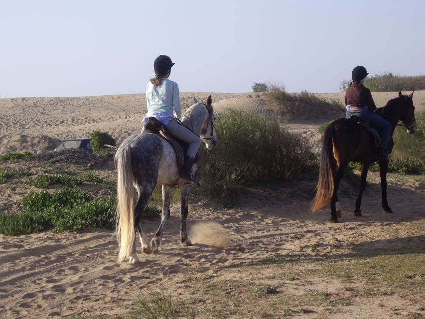 From Essaouira: 1-Hour Horse Ride - Price and value: what $38 buys you in Essaouira