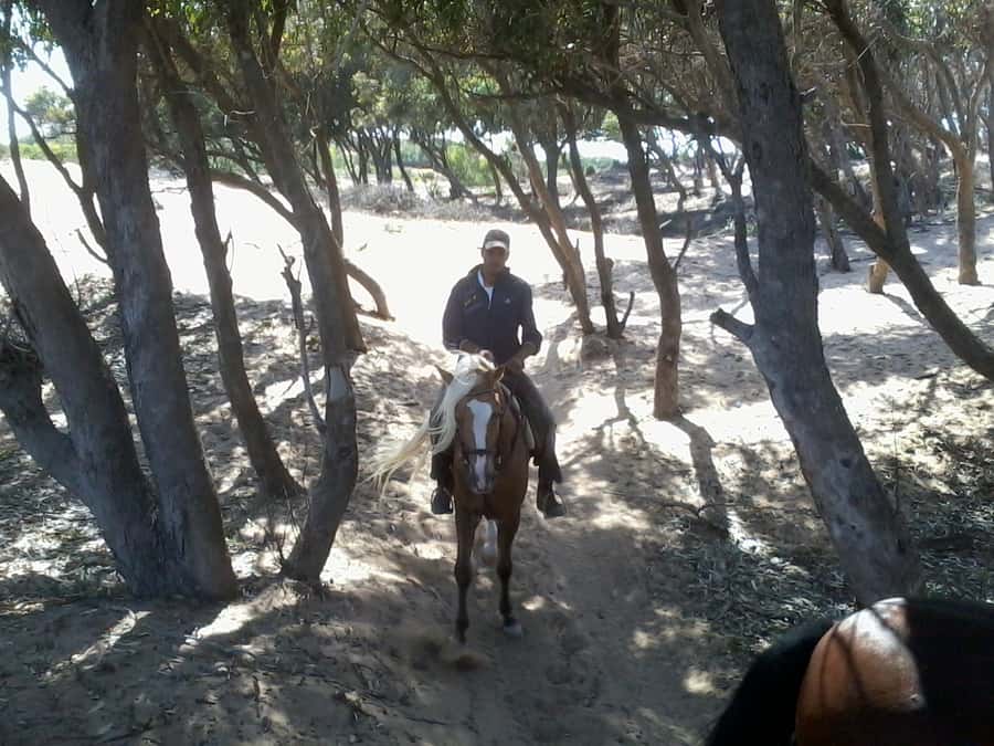 From Essaouira: 1-Hour Horse Ride - Who should book this horseback ride from Essaouira
