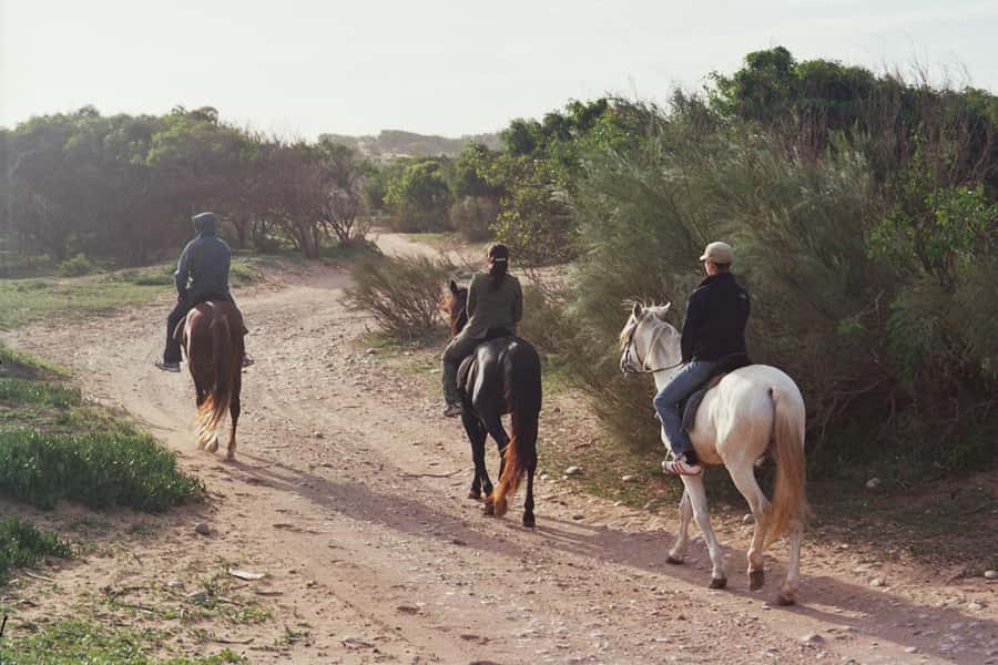 From Essaouira: 1-Hour Horse Ride - Ranch De Diabat: how pickup and pre-ride work in real life