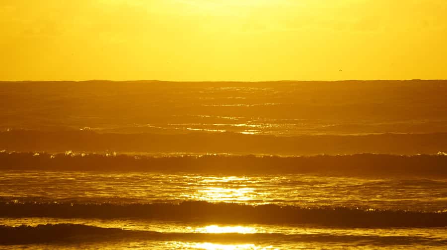 From Essaouira: 2h Horseback Ride with Sunset - Key things I’d center in your decision