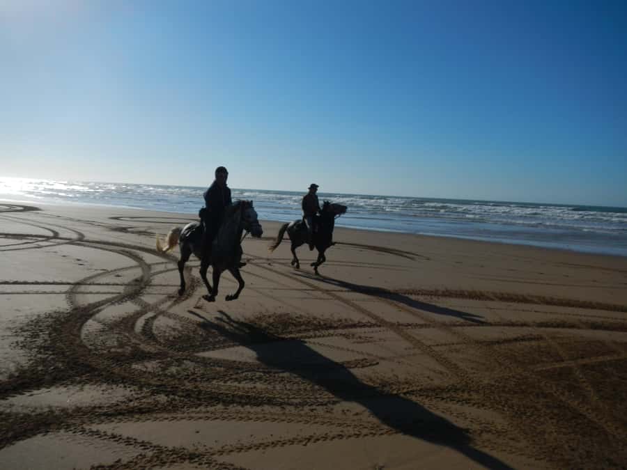 From Essaouira: 2h Horseback Ride with Sunset - Entering The Diabat Ride Zone: where the magic starts