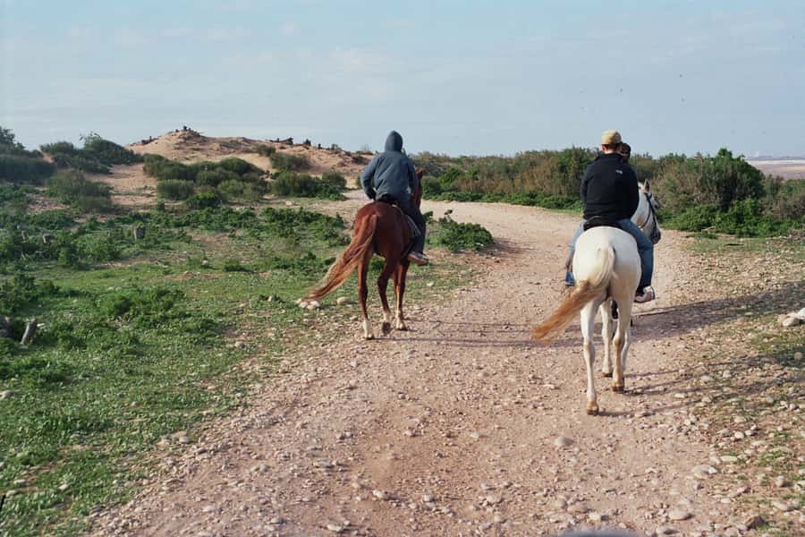 From Essaouira: 2h Horseback Ride with Sunset - Price and value: what $73 includes, and what you should plan for