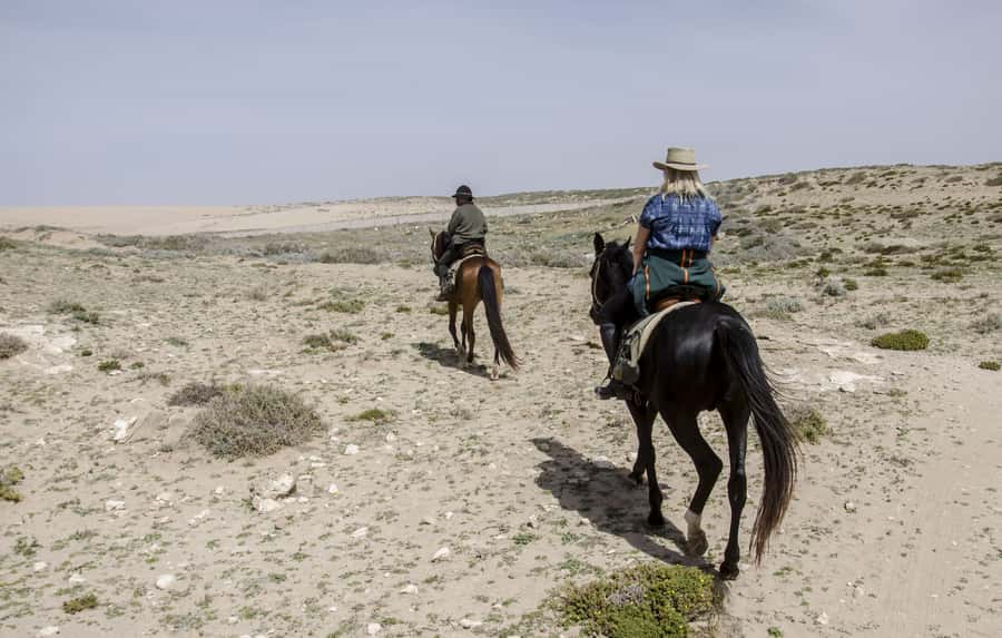 From Essaouira: Scenic Diabat Horseback Ride with Transfer - Diabat on horseback, what you really get in 2 hours
