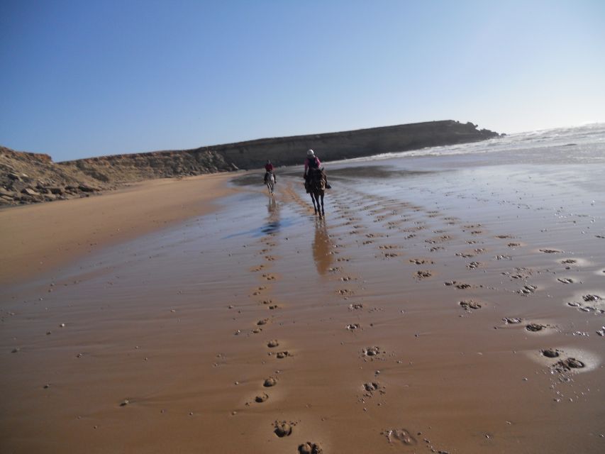 From Essaouira: Scenic Diabat Horseback Ride with Transfer - Languages, group size, and the human side of the guides