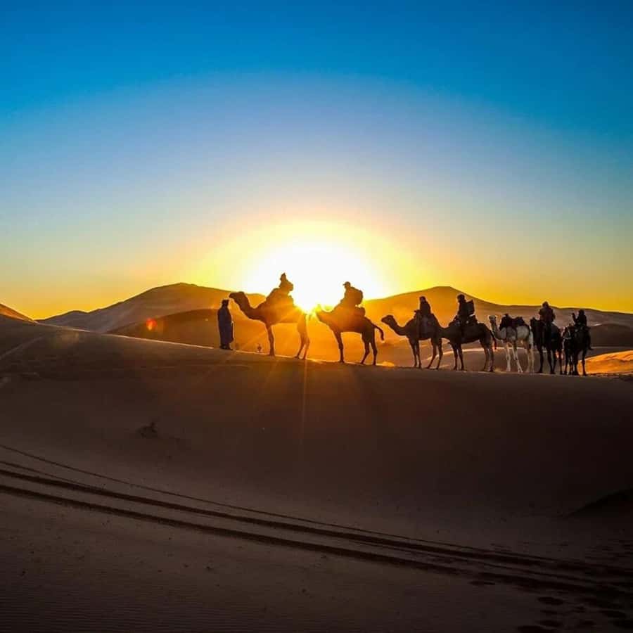 From Fes: 2-Day Luxury Desert Tour to Marrakech & Back Fez - Erg Chebbi dunes: camel trek, sunset colors, and sandboarding reality