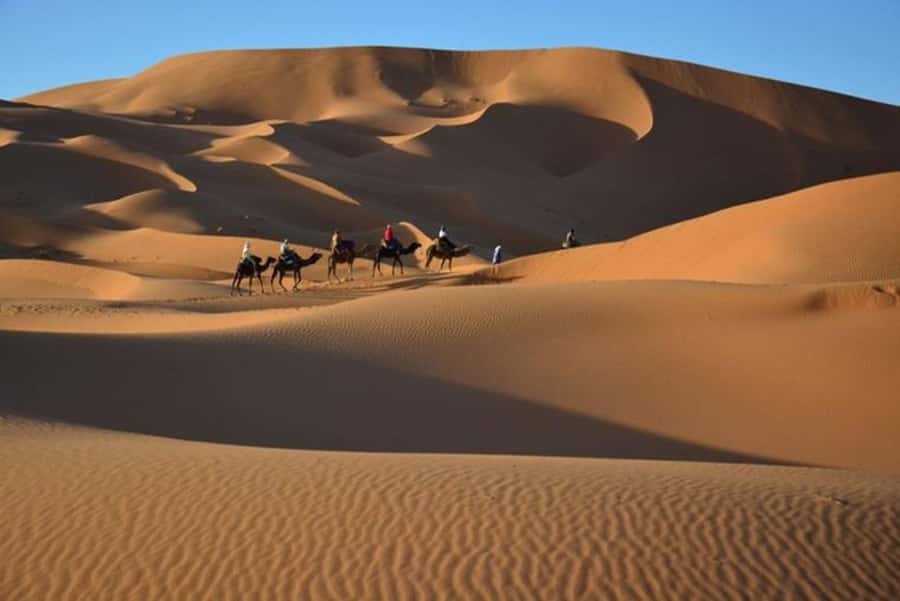 From Fes: 2-Day Luxury Desert Tour to Marrakech & Back Fez - The desert camp setup: air conditioning, clean tents, and private bathroom wins