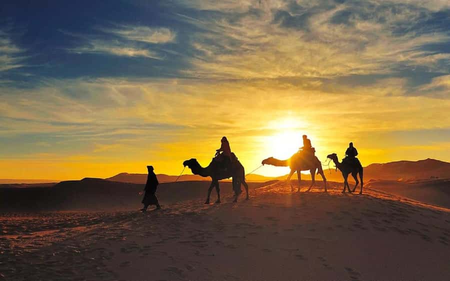 From Fes: 2-Day Luxury Desert Tour to Marrakech & Back Fez - Night sky time: Berber music, dinner, and stargazing that feels close