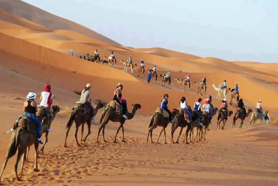 From Fes: 2-Day Luxury Desert Tour to Marrakech & Back Fez - Price and value at around $112: what’s included, what costs extra