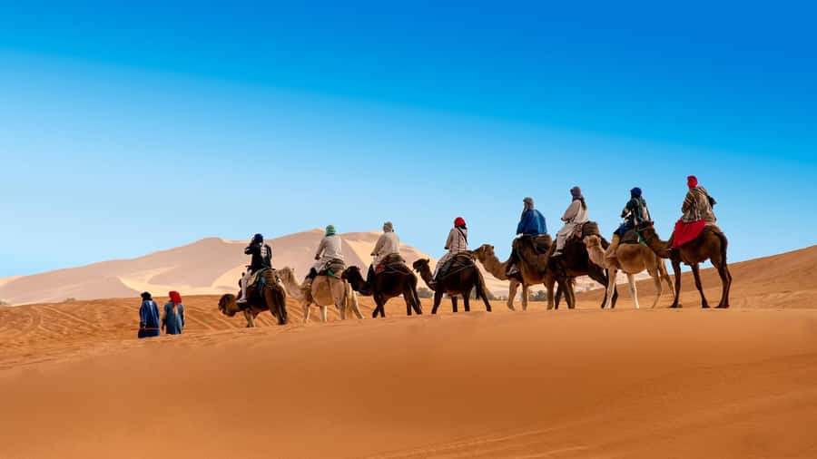 From Fes: 2-Day Luxury Desert Tour to Marrakech & Back Fez - Who should book this 2-day Fes desert tour, and who should skip it