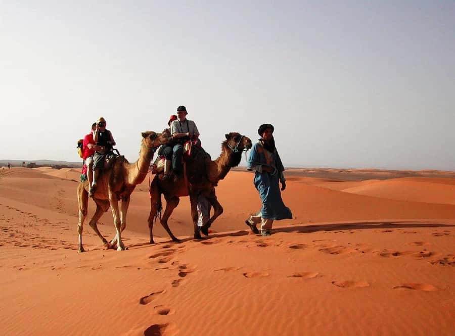 From Fes: 2-Day Luxury Desert Tour to Marrakech & Back Fez - Ziz Valley views and the Midelt lunch break you should plan for