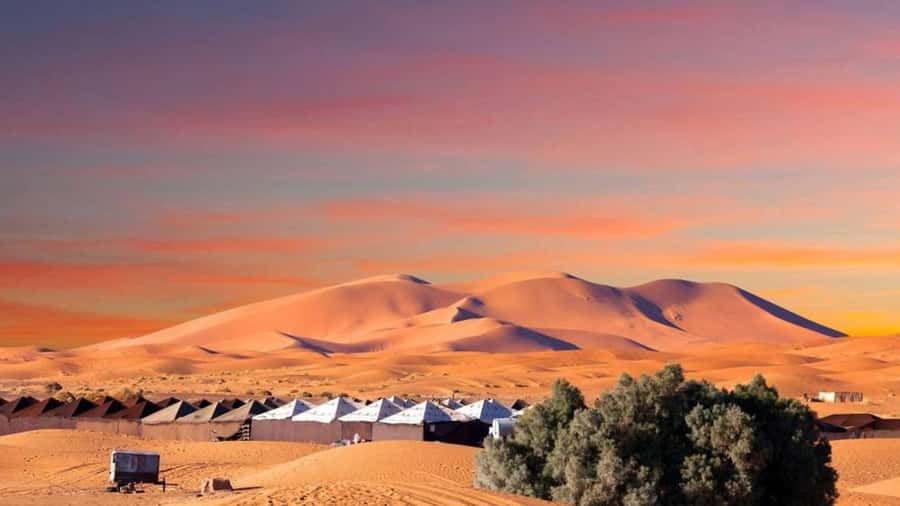 From Fes: 2-Day Merzouga Desert Trip w/Luxury Tent & Dinner - Fez to Merzouga: the 7-hour road day that matters