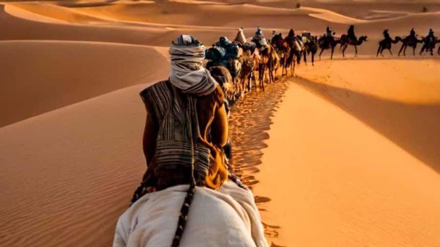 From Fes: 2-Day Merzouga Desert Trip w/Luxury Tent & Dinner - Ifrane, cedar forest monkeys, and the breaks that keep it fun