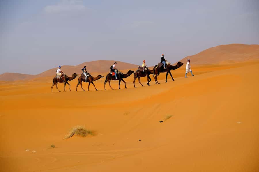 From Fes: 2-Day Merzouga Desert Trip w/Luxury Tent & Dinner - Sunrise at Erg Chebbi and the easy morning routine