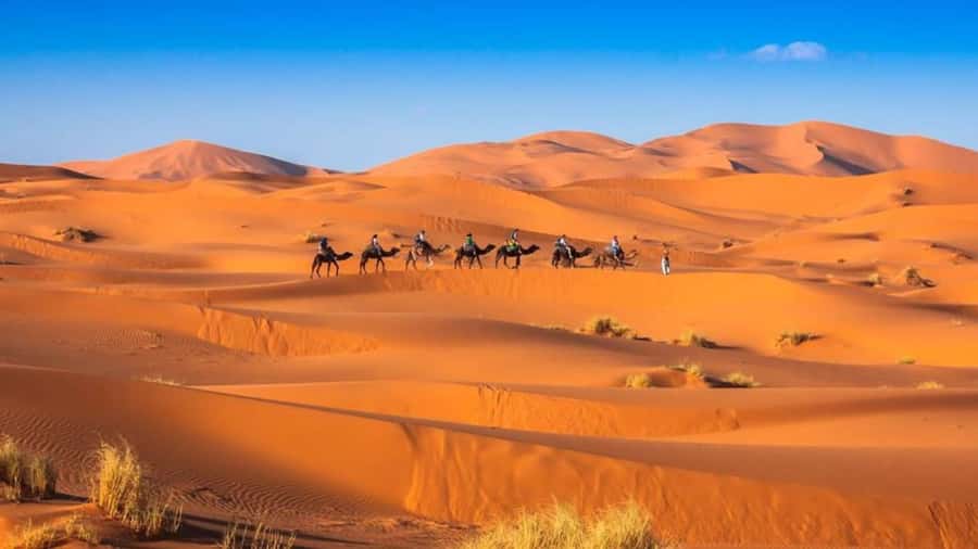 From Fes: 2-Day Merzouga Desert Trip w/Luxury Tent & Dinner - Meals, water, and what “vegetarian included” really means