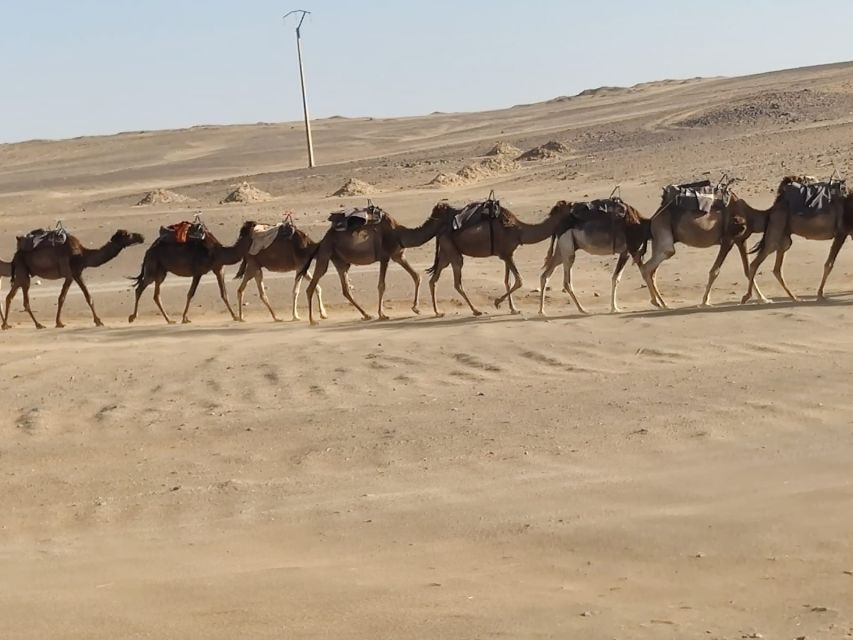 From Fes: 2 Day Round Trip Via Merzouga Desert & Camel Trek - Ziz Valley on the return: scenery repetition that actually helps