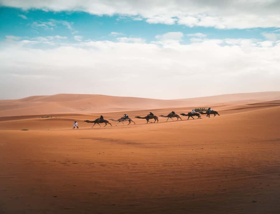 From Fes: 3-Day 2-Night Desert Tour to Marrakech - Key moments that make this Fes to Marrakech desert route special
