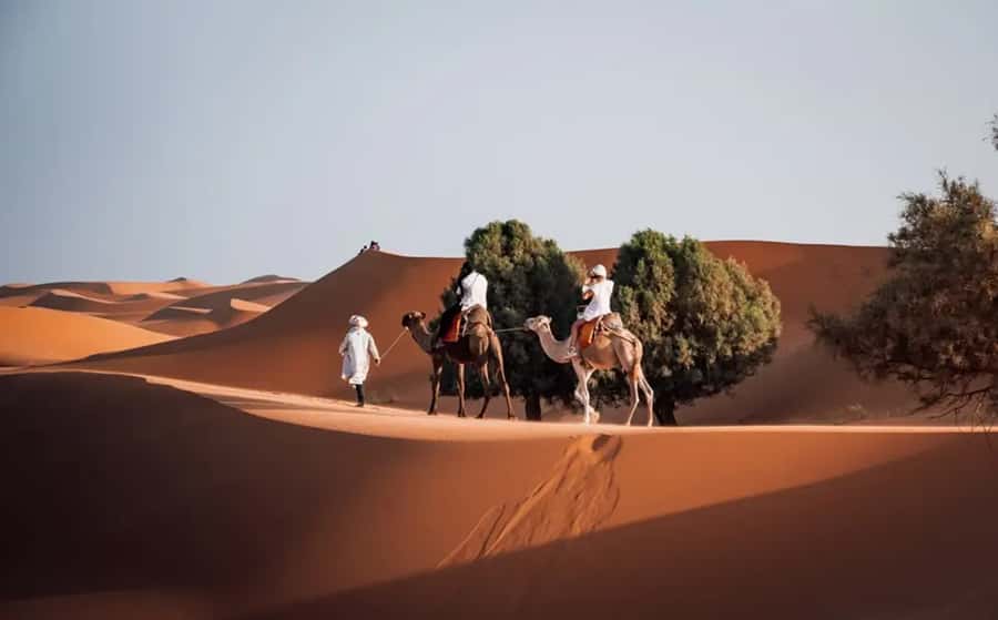 From Fes: 3-Day Luxury Desert Tour to Marrakech via Merzouga - Desert-Route Value for $272 per person