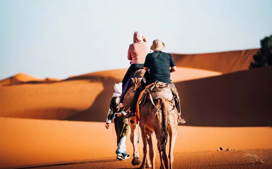 From Fes: 3-Day Luxury Desert Tour to Marrakech via Merzouga - Camel sunset and your desert camp night (Standard vs Luxury)
