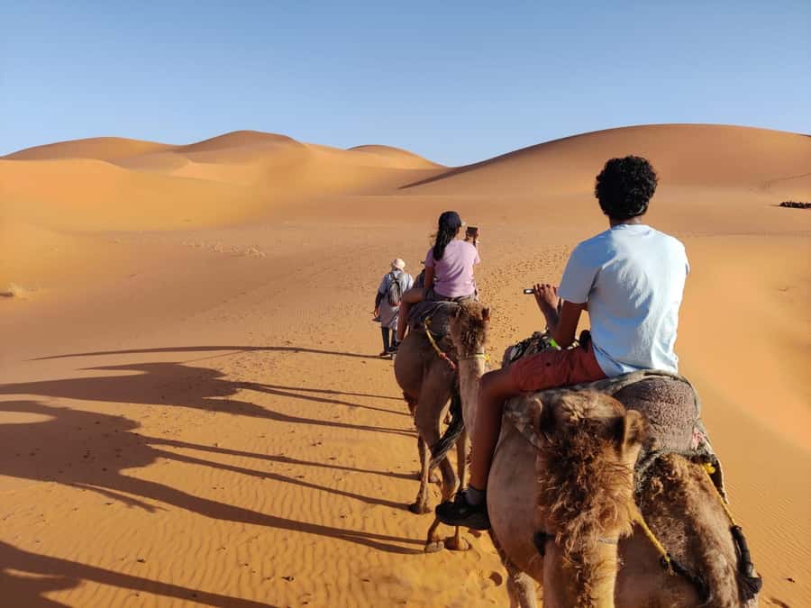 From Fes: 3 Day Magical Desert Camel Trek To Marrakech - Quick hits to know before you go