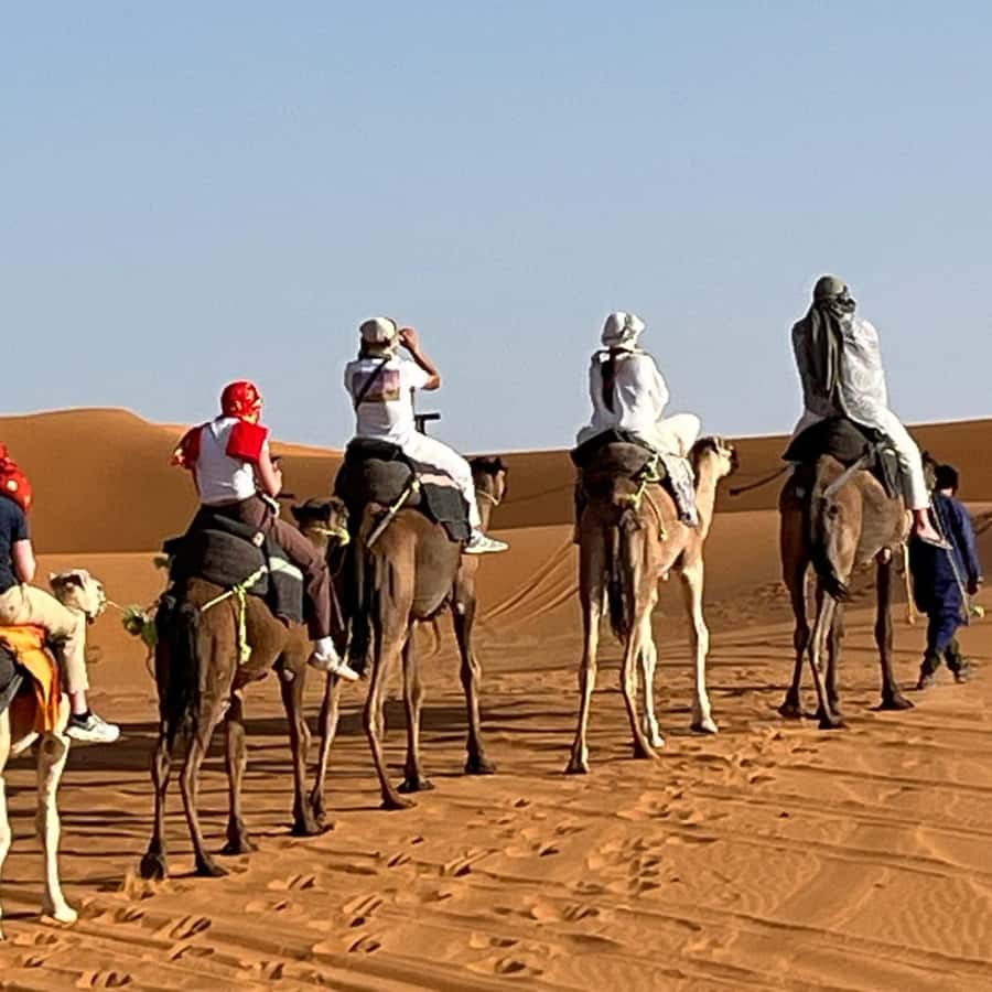 From Fes: 3 Day Magical Desert Camel Trek To Marrakech - What to ask before you book, to protect your experience