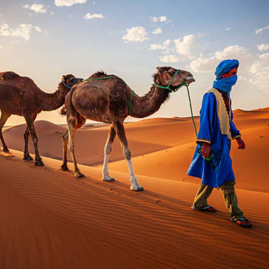 From Fes: 3 Day Magical Desert Camel Trek To Marrakech - Day 2: Merzouga to Rissani, Todra Gorge, and on to Tinghir