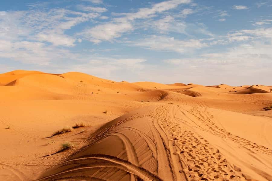 From Fes: 3-Days 2-Nights Desert Tour to Marrakech - Day 2 sunrise dunes, Rissani tombs, and Todra’s narrow canyon walls