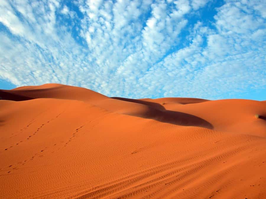 From Fes: 3-Days 2-Nights Desert Tour to Marrakech - Who this desert tour suits best
