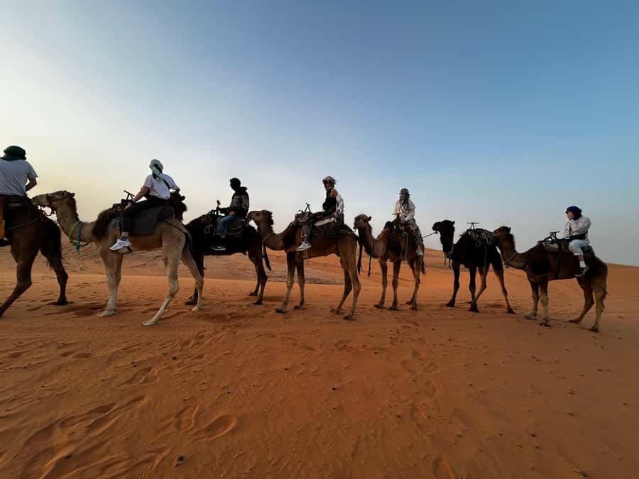 From Fes: 3 Days and 2 Nights Desert Trip to Marrakech - The real value of this Fes to Marrakech route