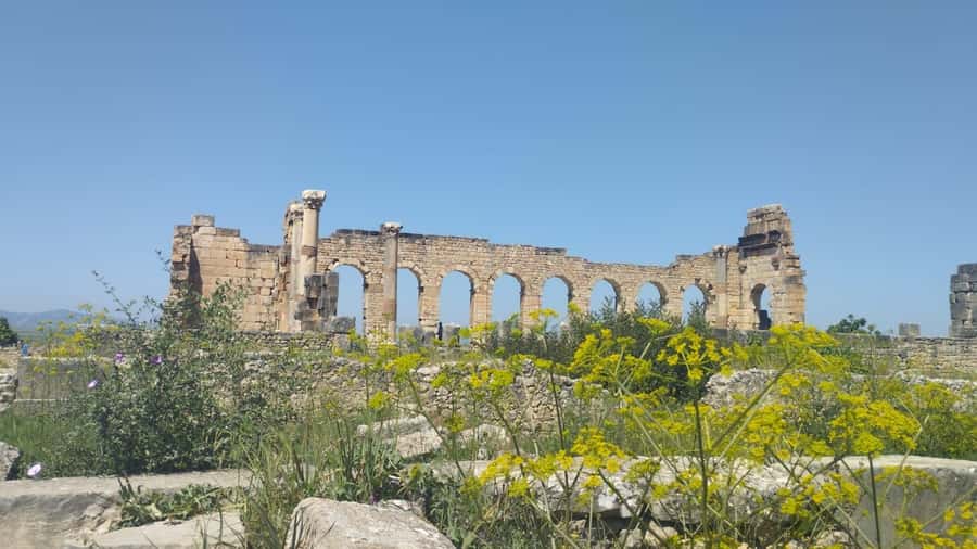 From Fes: Meknes Volubilis and Moulay Idriss Day Trip - Price and value: what $23 really covers, and what doesn’t
