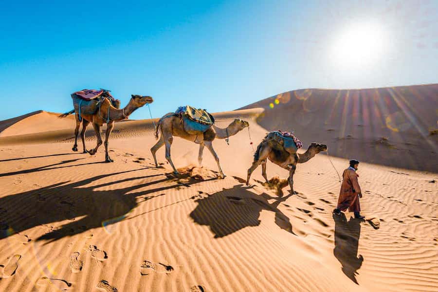 From Fes to Marrakech: 3-Day Sahara Desert Discovery Tour - Erg Chebbi Camel Rides and Sandboarding: The Desert Part You Came For