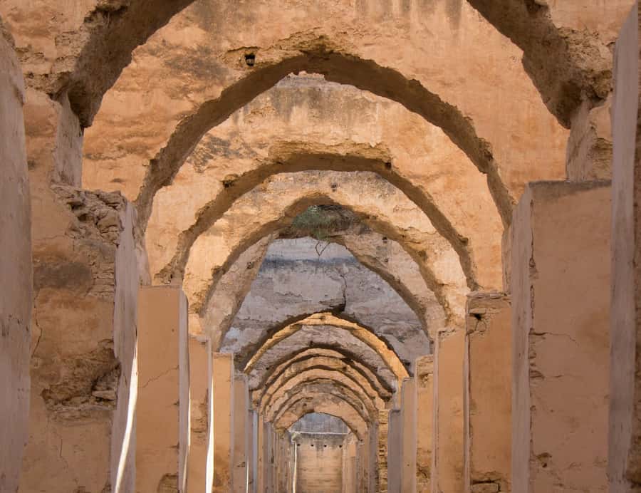 From Fes: Volubilis, Moulay Idriss and Meknes Full-Day Trip - Key highlights at a glance