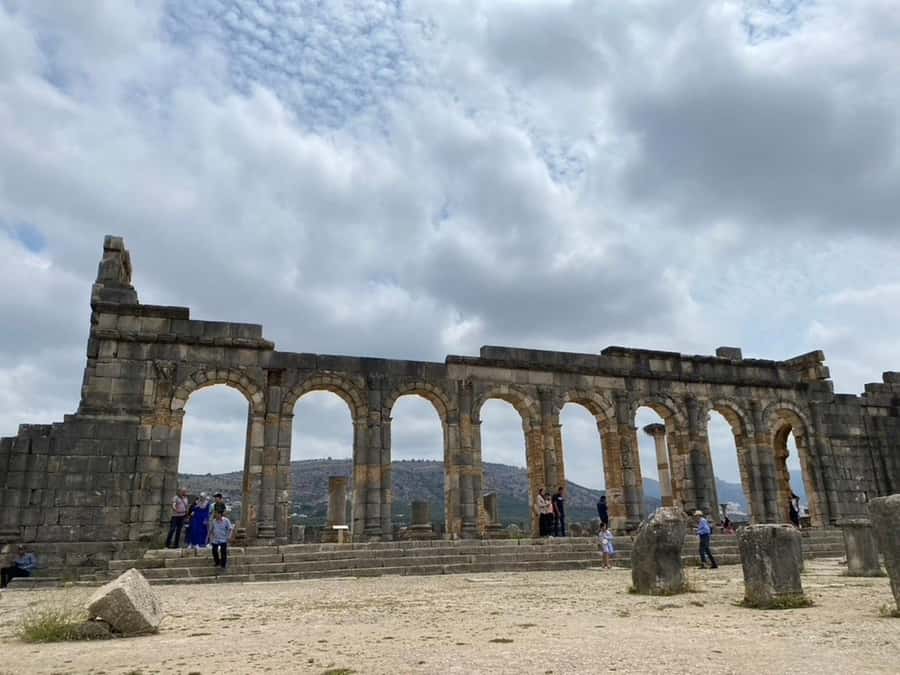 From Fes: Volubilis, Moulay Idriss, & Meknes Full-Day Trip - Key points before you go