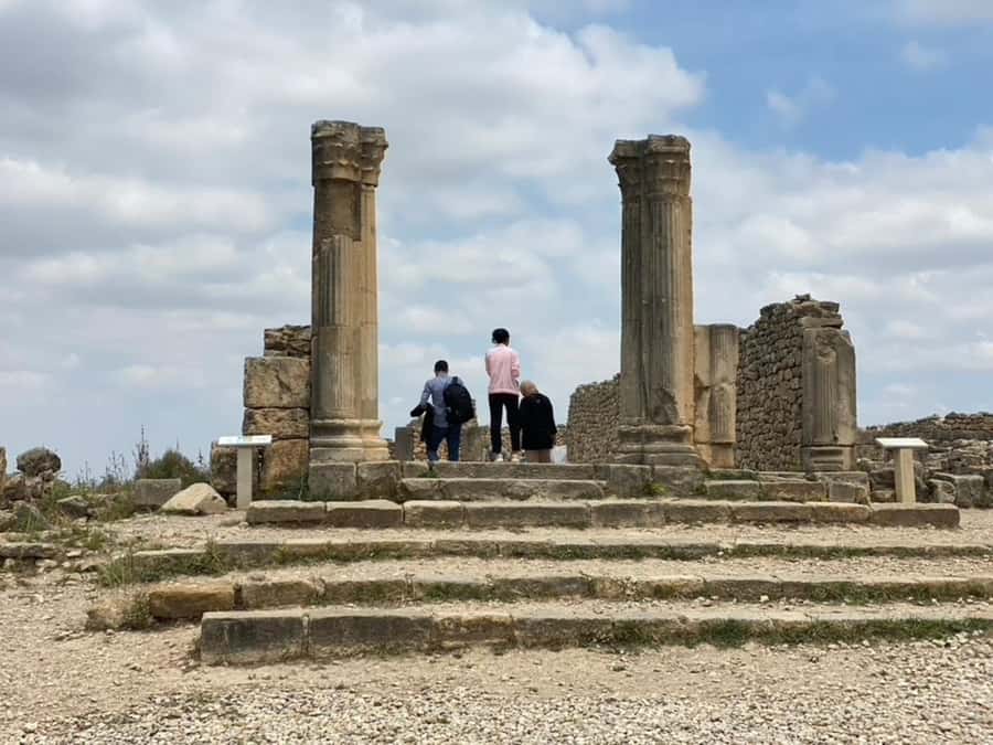 From Fes: Volubilis, Moulay Idriss, & Meknes Full-Day Trip - Volubilis Roman Ruins: mosaics, viewpoints, and one paid ticket