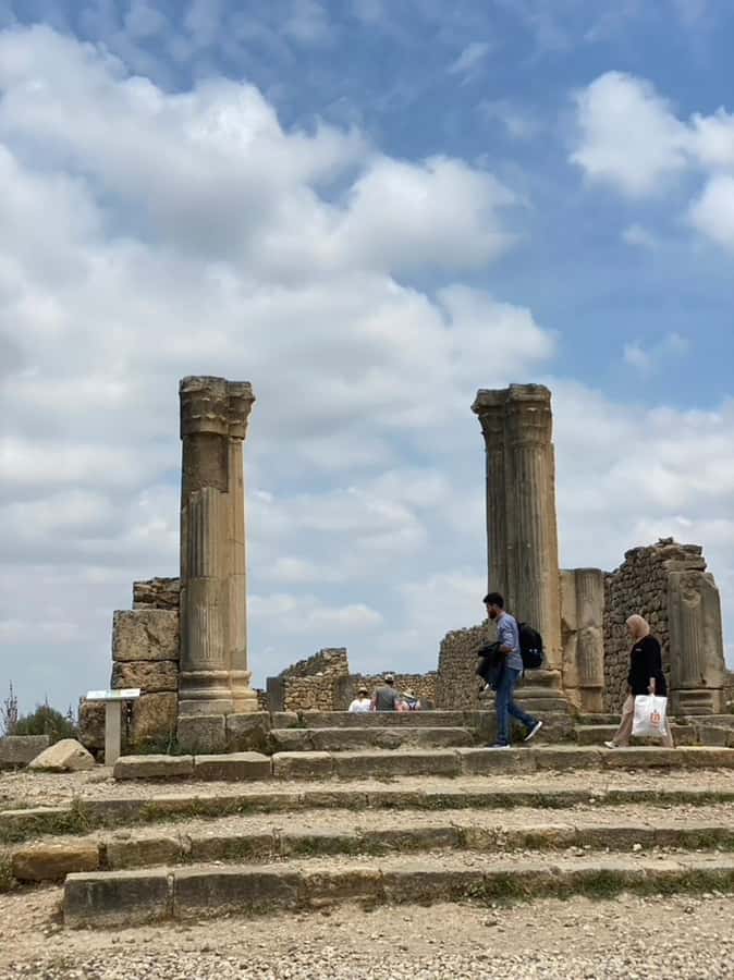 From Fes: Volubilis, Moulay Idriss, & Meknes Full-Day Trip - Practical tips: cash, snacks, and what not to bring