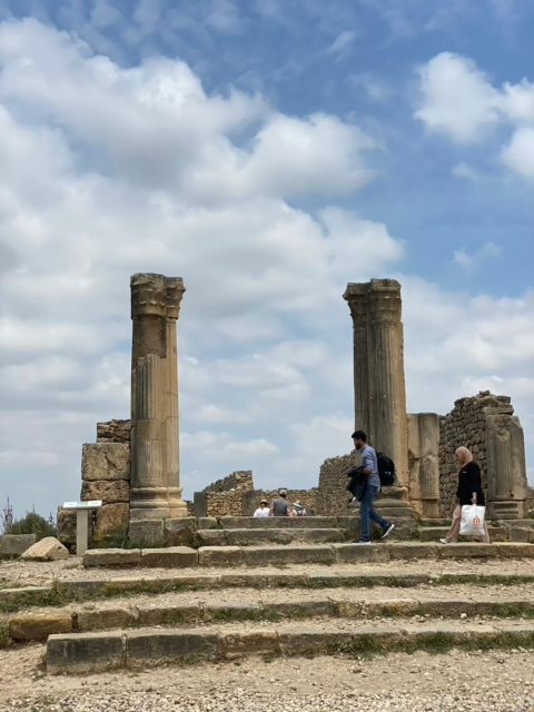 From Fes: Volubilis, Moulay Idriss, & Meknes Full-Day Trip - Should you book this Volubilis, Moulay Idriss, and Meknès trip?