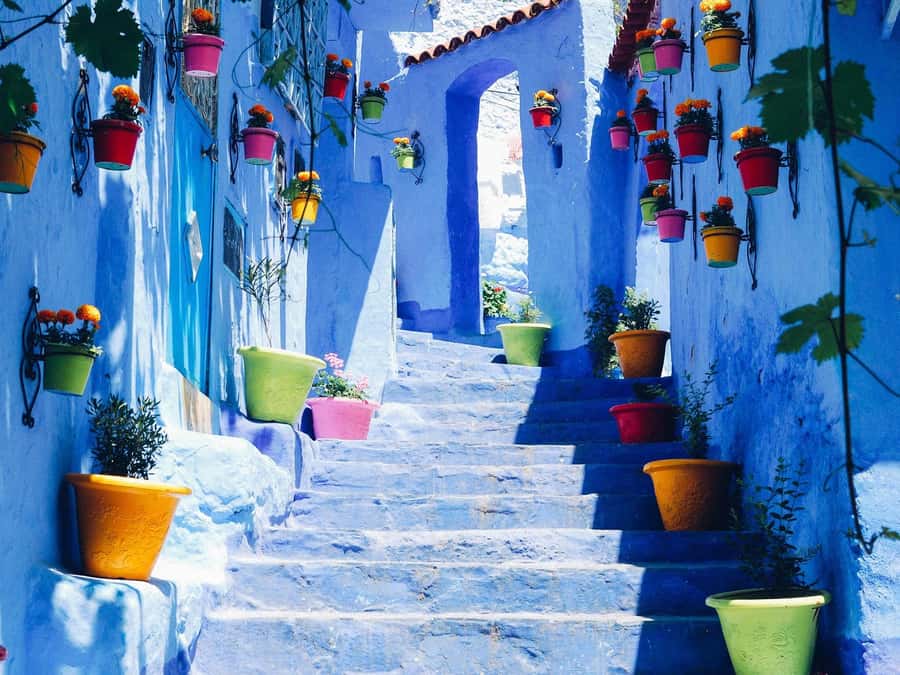 From Fez: Day Tour to the Blue Town of Chefchaouen - Key points that make this day trip work