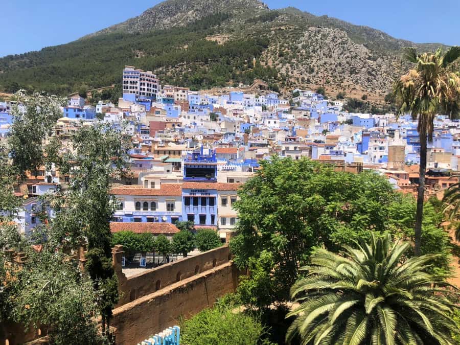 From Fez: Day Tour to the Blue Town of Chefchaouen - The guided walk that helps you find the key spots fast