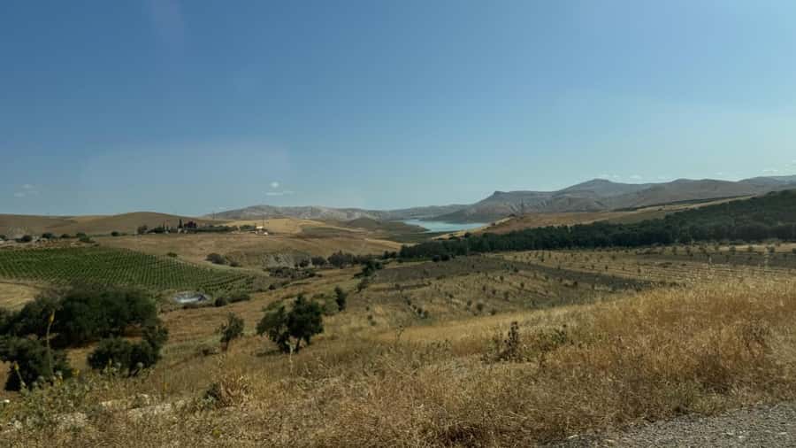 From Fez: Meknes, Volubilis and Moulay Idriss Day Trip - Your best match and practical tips for comfort, photos, and timing