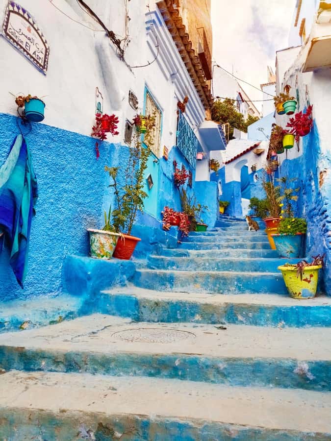 From Fez : Memorable Day Trip to Chefchaouen the Blue City - What you are really paying for: time, transport, and hassle-free pacing