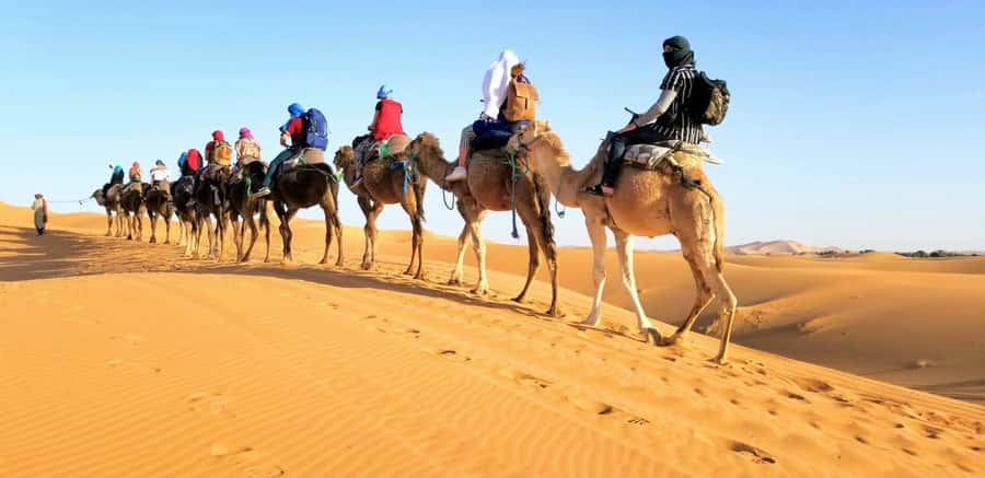 From Fez: Round-Trip Overnight Merzouga Desert Tour - Key highlights worth your attention