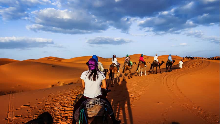 From Fez: Sahara Desert 2-Day Tour with Merzouga Camp Stay - Ifran and the Middle Atlas: Ski Slopes, Cedar Forests, and Barbary Monkeys