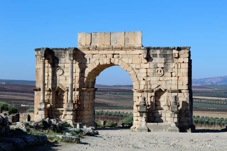From Fez: Volubilis Moulay Idriss and Meknes Day Trip - Volubilis Roman Ruins: What to See and How to Read the Stones