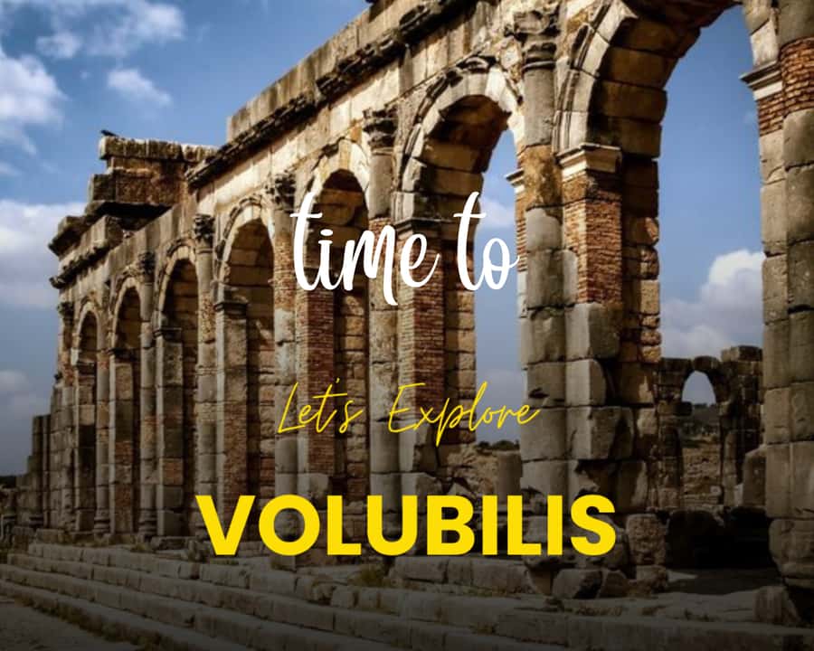 From Fez: Volubilis Moulay Idriss & Meknes Full-Day Trip - Volubilis Roman ruins: what you’re actually looking for